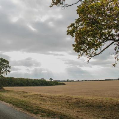 Photograph of part of Ringstead Circular Cycle route showing a field, tree and grey sky