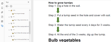 Screenshot Of Turnips Flowchart Pdf