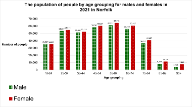 A bar chart showing the population of males and females by age grouping in the year 2021 in Norfolk. Key information shown is also described in text and bullet points before this chart.