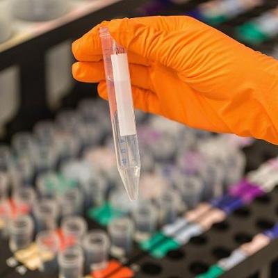 Photograph of gloved hand holding a test tube
