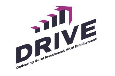 drive logo 