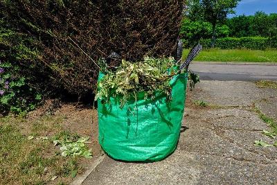 A container filled with cut-down leaves and branches sitting in the driveway of a home
