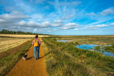 Person walking with their dog in the Norfolk countryside