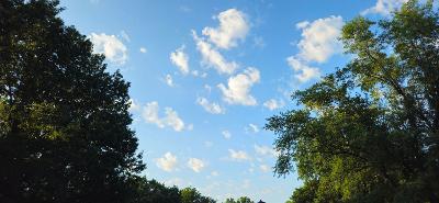 A clear sky with clouds and tree tops