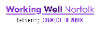 Working Well Norfolk delivering Connect to Work logo