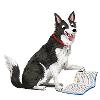 20261407 Bean dog with book