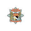 Norfolk fire and rescue service logo